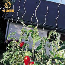 2020 Hot Selling Product spiral Tomato Support